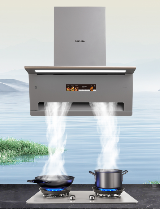 S2000的成功试飞