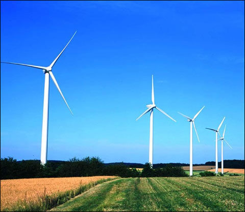 并辐射华东乃至全国