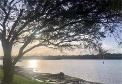 TGME 控矿面积约 620 平方公