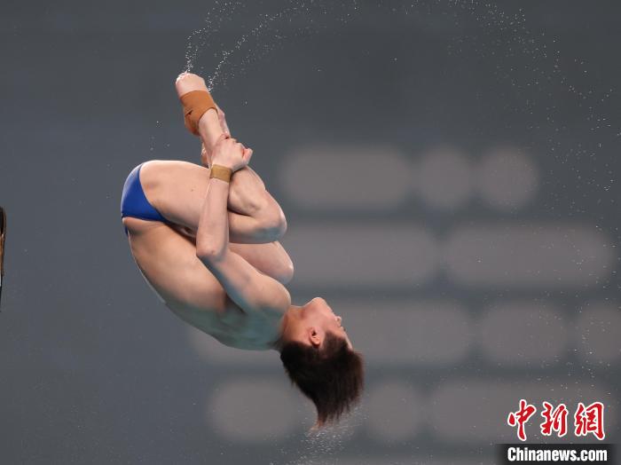 中国跳水队包揽九金创历史 陈芋汐全红婵搭档夺